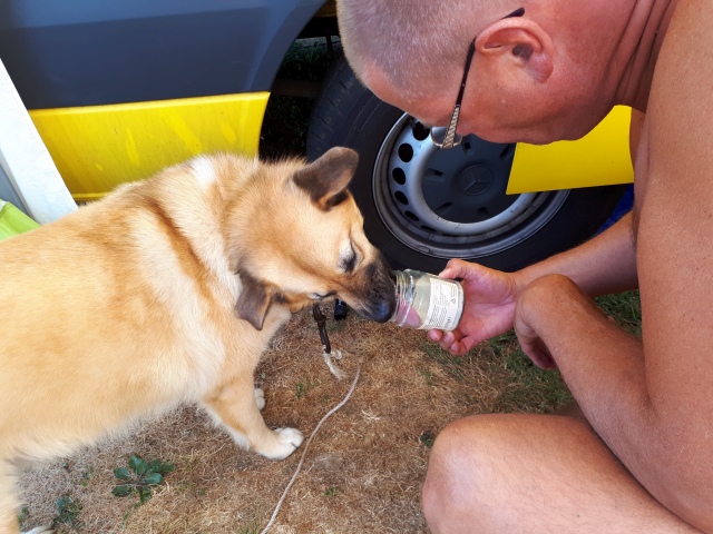 ../fotos/het_verlaat_2018/2018-08-03 09.37.22.jpg